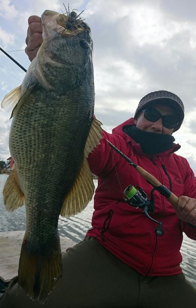 野池バス釣り 真冬のパワースピニング カバーから漆黒の45オーバー出現 吊るし 友蔵freedom 気ままにバス釣りlife