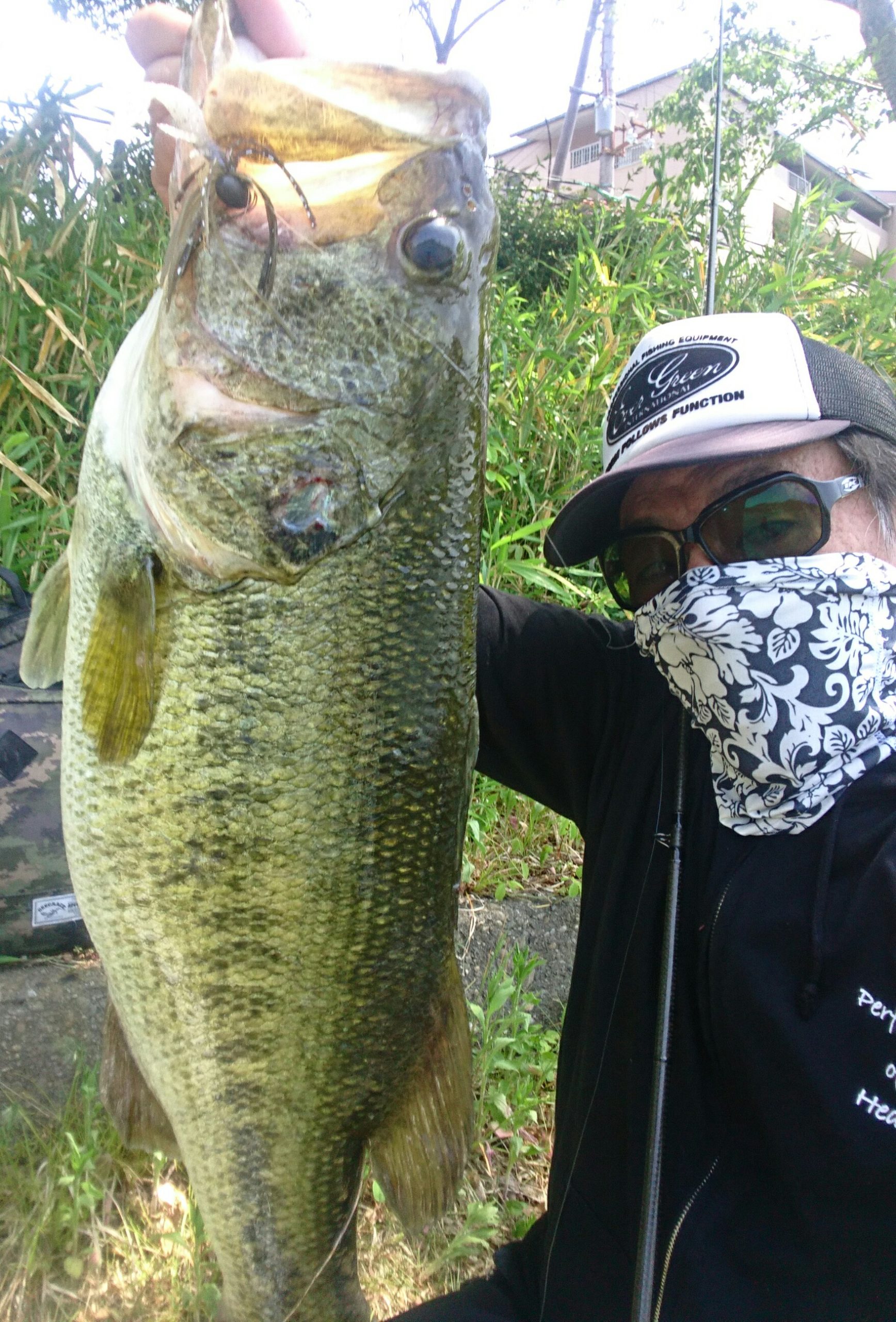 ☆【TGブロー】驚愕の釣果！ロクマル出現！TGブローの利点5項目！【エバーグリーン】☆ | 友蔵FREEDOM 気ままにバス釣りLIFE