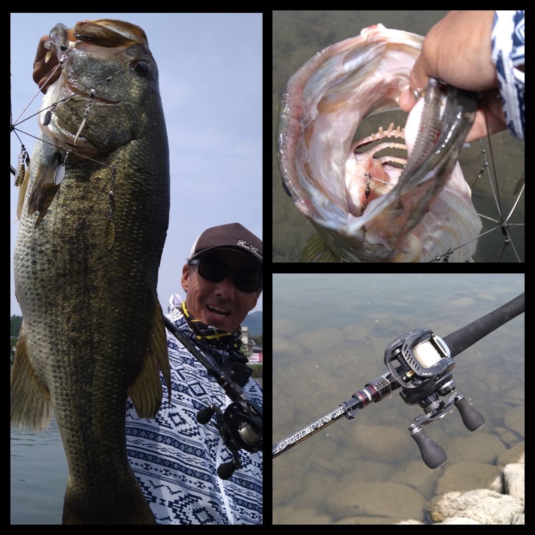 ☆【瀬田川バス釣り】真昼間のロクマル出現！！ワンフックアラバマ