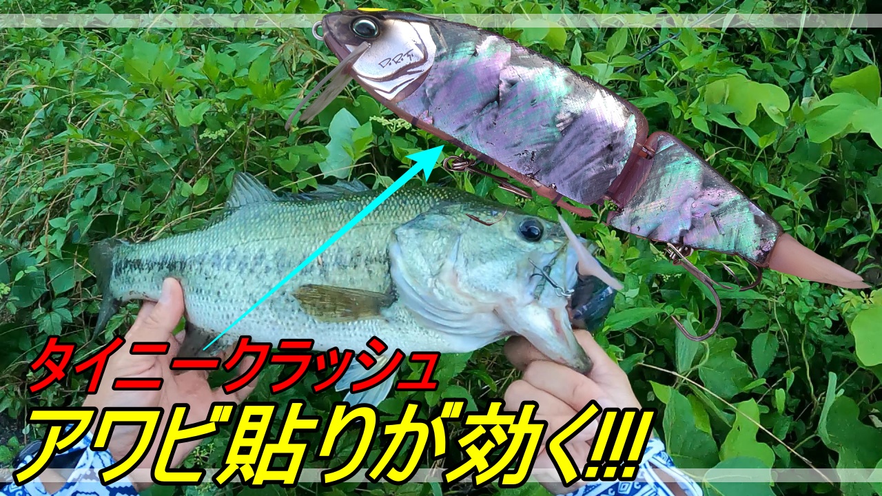 世界1釣れるクランクベイト(クラッシュ) （横沢 鉄平』記事一覧 | 釣り 