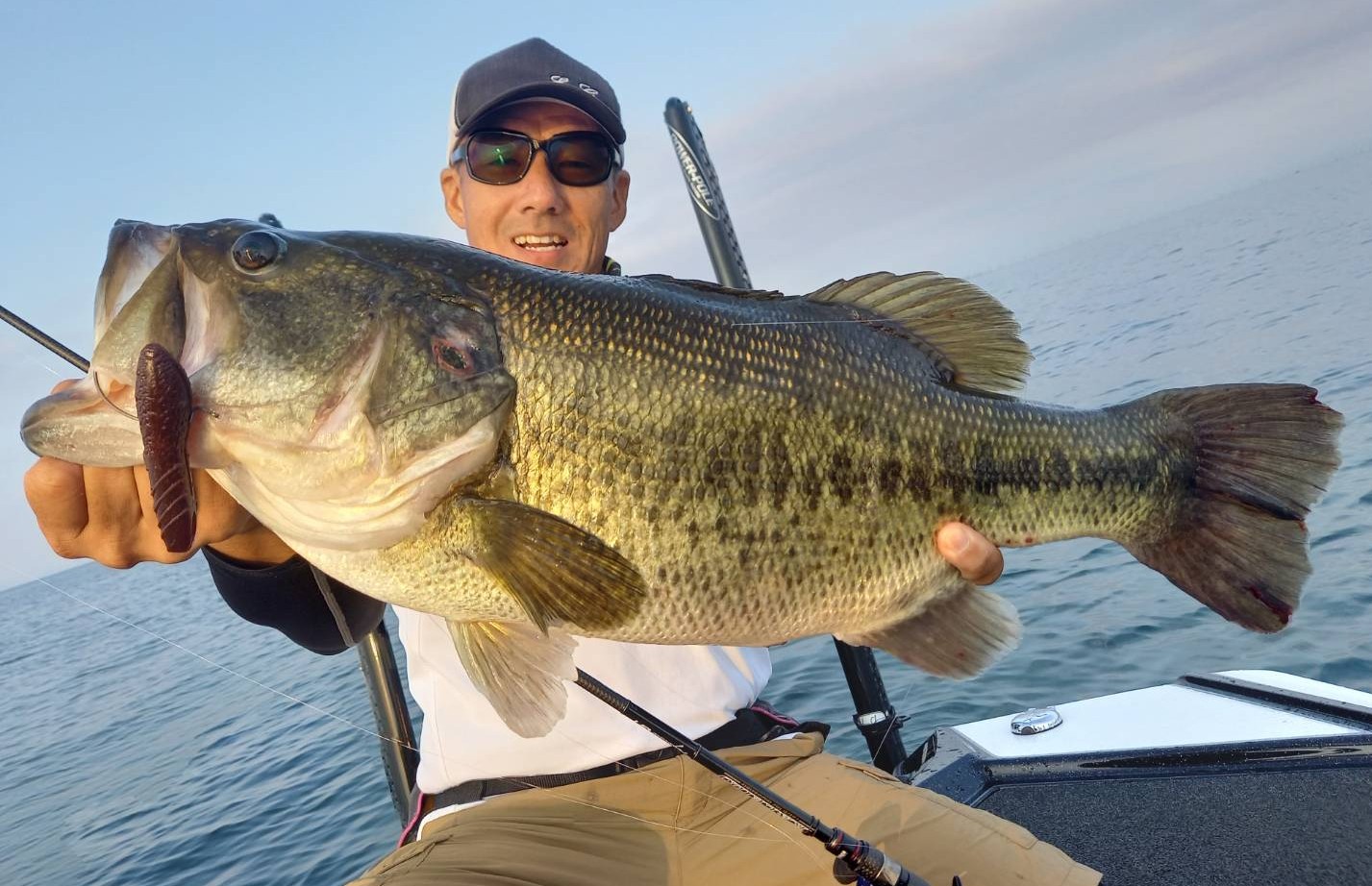 琵琶湖で一年やれるバス釣りルアーセット ※カバスキャ大量 ☆【琵琶湖