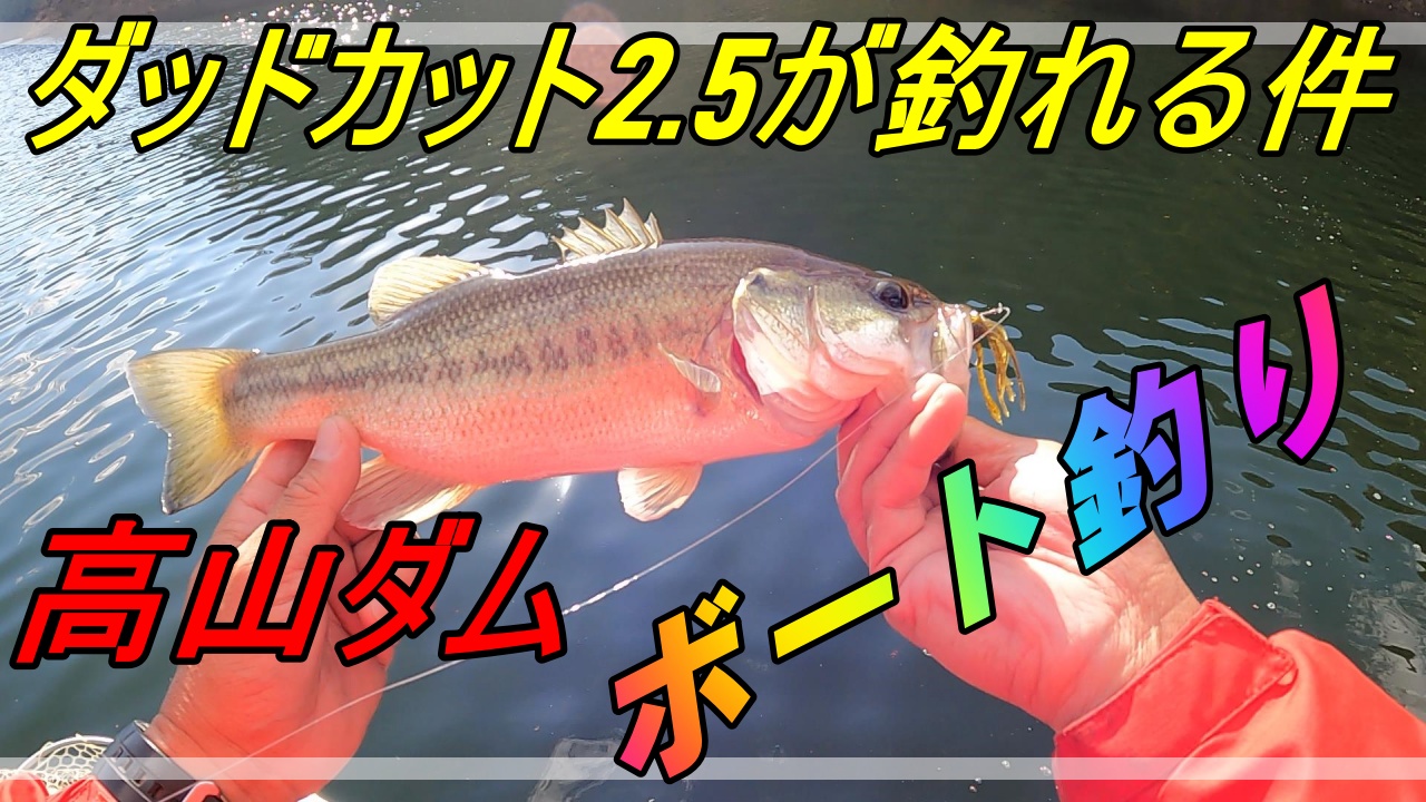 高山ダム お助けリグ ダッドカット2 5インチのヘビキャロ イマカツ 友蔵freedom 気ままにバス釣りlife 高山ダム お助けリグ ダッドカット2 5インチのヘビキャロ イマカツ 友蔵freedom 気ままにバス釣りlife