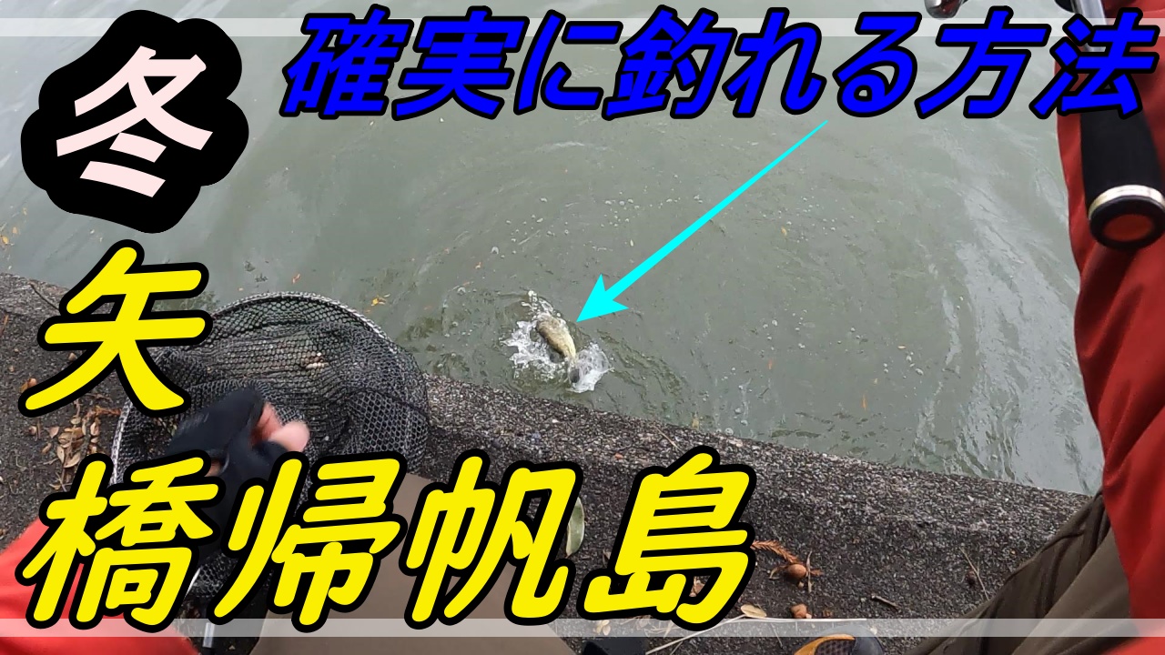 琵琶湖バス釣り 冬でも確実に釣れる方法があるんです 矢橋帰帆島 友蔵freedom 気ままにバス釣りlife