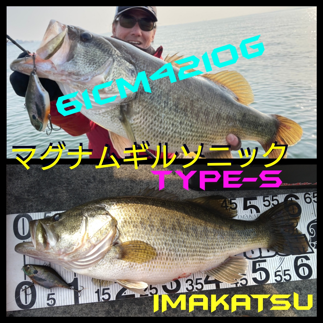 プリスキン イマカツ マグナムギルソニック ブルーギル魚皮貼り イマカツ マグナムギルソニック ブルーギル魚皮貼り ルアー です