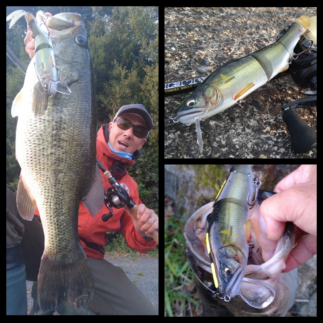 ☆【琵琶湖】開始4投で仕留めるビッグベイト戦略!!!【オカッパリ