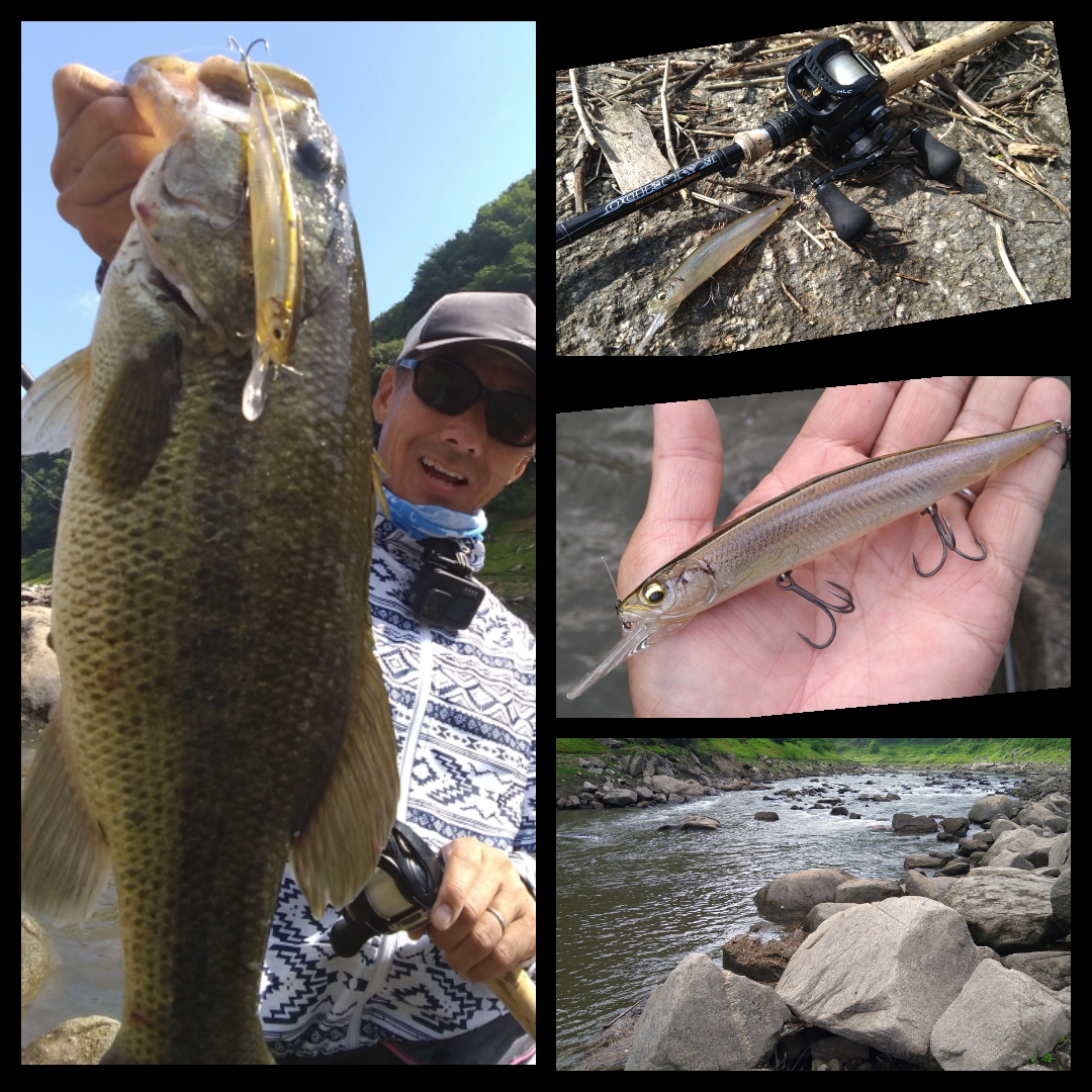 高山ダム バックウォーターで Ikジャーク炸裂 オカッパリ 友蔵freedom 気ままにバス釣りlife 高山ダム バックウォーターで Ikジャーク炸裂 オカッパリ 友蔵freedom 気ままにバス釣りlife