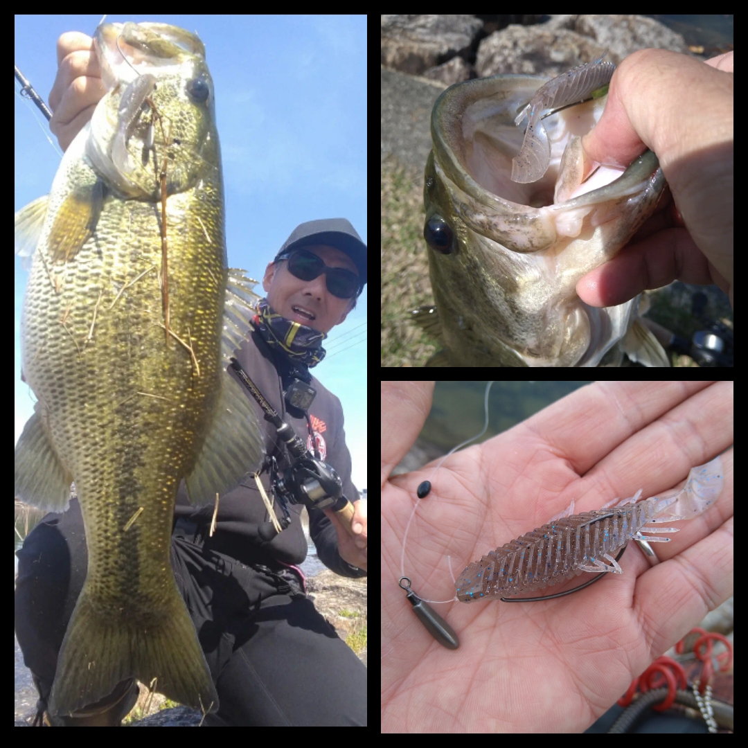 ☆【バス釣り】瀬田川の春、開幕！2kgオーバー捕獲！【オカッパリ