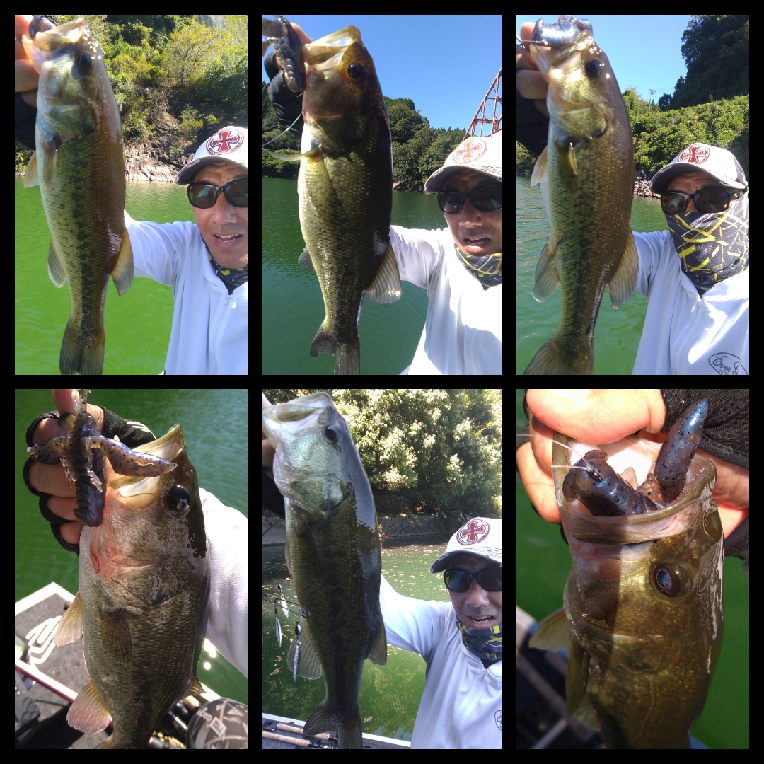 ☆ 【青蓮寺ダム】ディープ攻めで2桁釣果！！【バス釣り