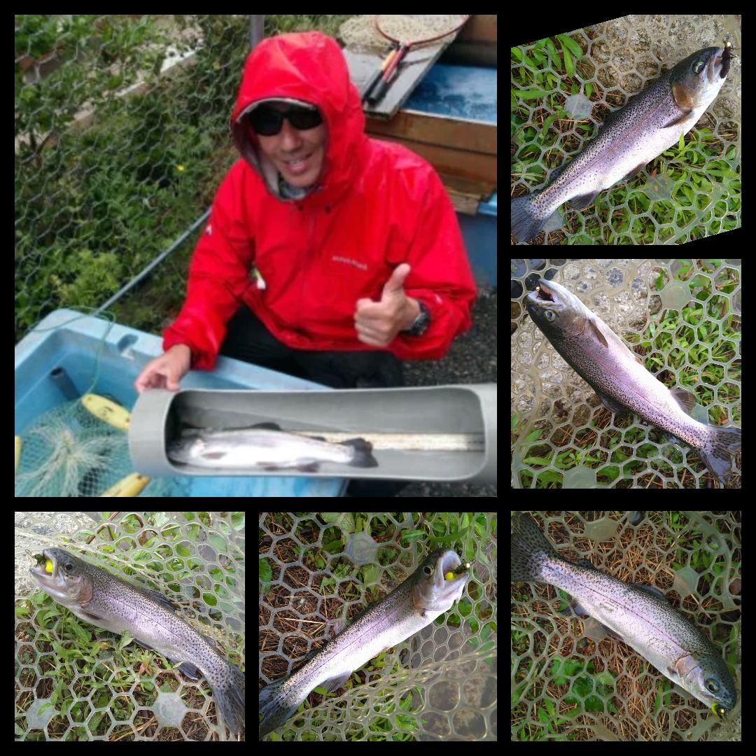 ☆【エリアトラウト】表層とボトム戦略で30本オーバー♪【高島の泉