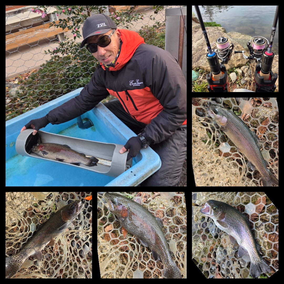 ☆【高島の泉】年末で大混雑！46cm頭に41匹捕獲♪【エリアトラウト
